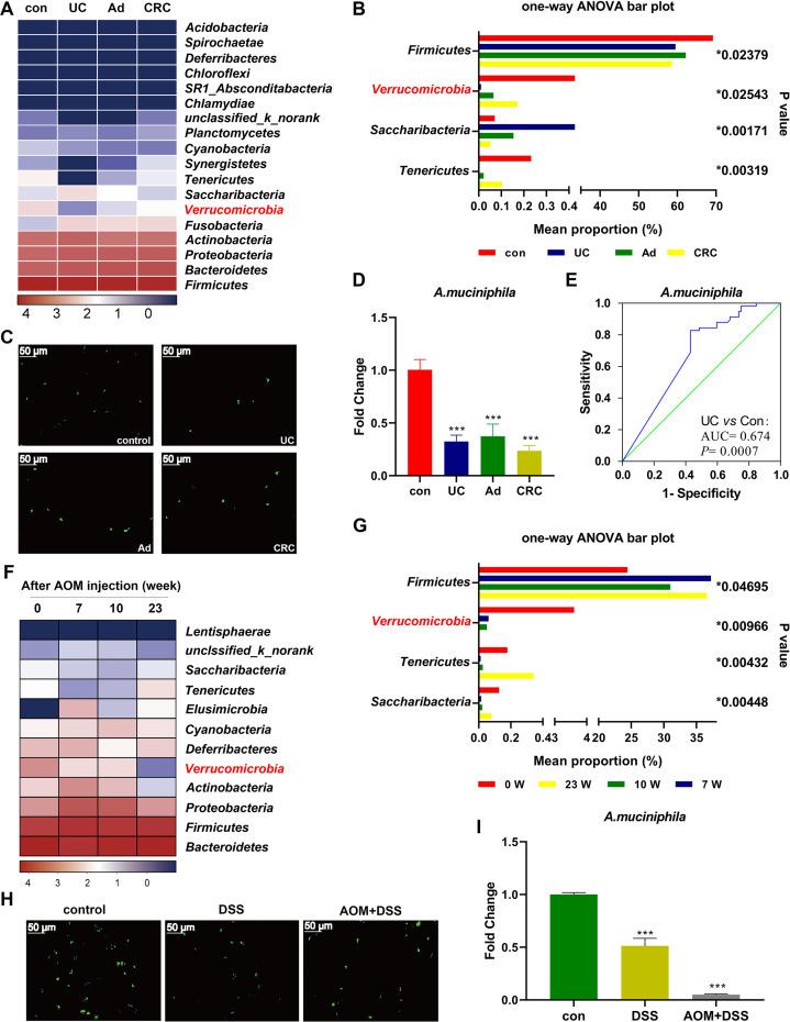 https://cdn.ncbi.nlm.nih.gov/pmc/blobs/1226/7569398/7d9914d81b64/gutjnl-2019-320105f01.jpg