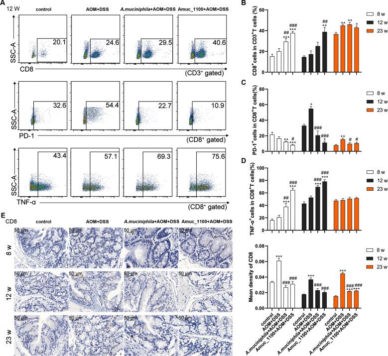 https://cdn.ncbi.nlm.nih.gov/pmc/blobs/1226/7569398/7f75307a3ef4/gutjnl-2019-320105f05.jpg