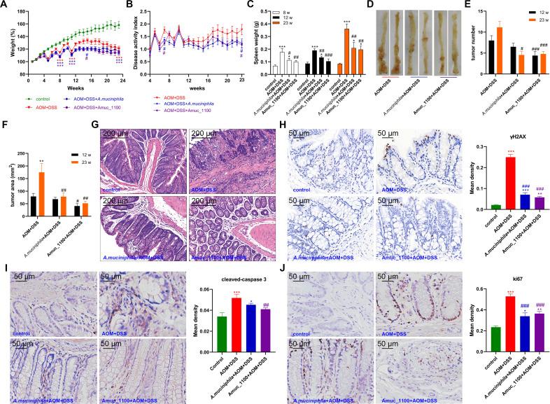 https://cdn.ncbi.nlm.nih.gov/pmc/blobs/1226/7569398/8d355a5f6760/gutjnl-2019-320105f04.jpg