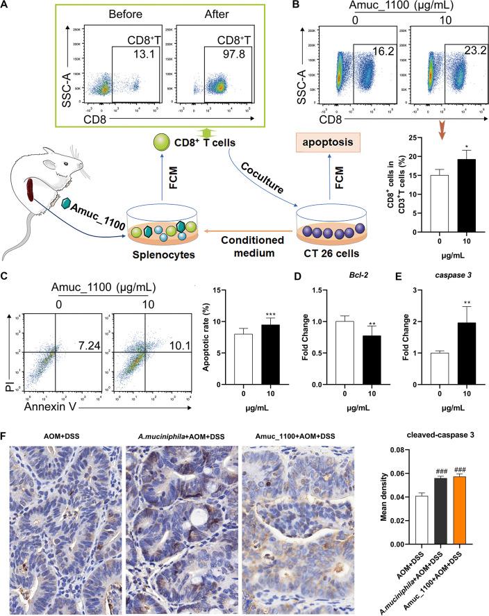 https://cdn.ncbi.nlm.nih.gov/pmc/blobs/1226/7569398/e28657b86149/gutjnl-2019-320105f07.jpg