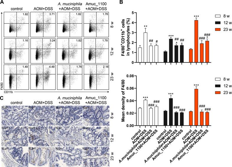 https://cdn.ncbi.nlm.nih.gov/pmc/blobs/1226/7569398/fe402e4e3647/gutjnl-2019-320105f06.jpg