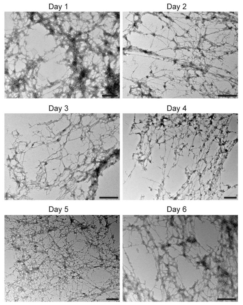 https://cdn.ncbi.nlm.nih.gov/pmc/blobs/1226/7766222/8d3098c77023/viruses-12-01466-g005.jpg