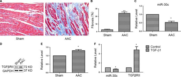 https://cdn.ncbi.nlm.nih.gov/pmc/blobs/1227/5980214/100eab098b2f/JCMM-22-3045-g001.jpg