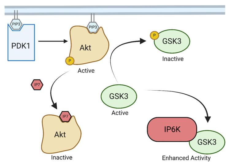 https://cdn.ncbi.nlm.nih.gov/pmc/blobs/1229/10526494/fc2a5b8ea8e6/biomolecules-13-01317-g001.jpg