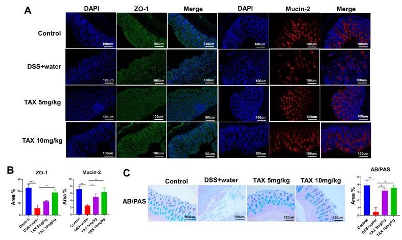 https://cdn.ncbi.nlm.nih.gov/pmc/blobs/122a/9827818/8463e5acd24f/ABBS-2021-327-t4.jpg