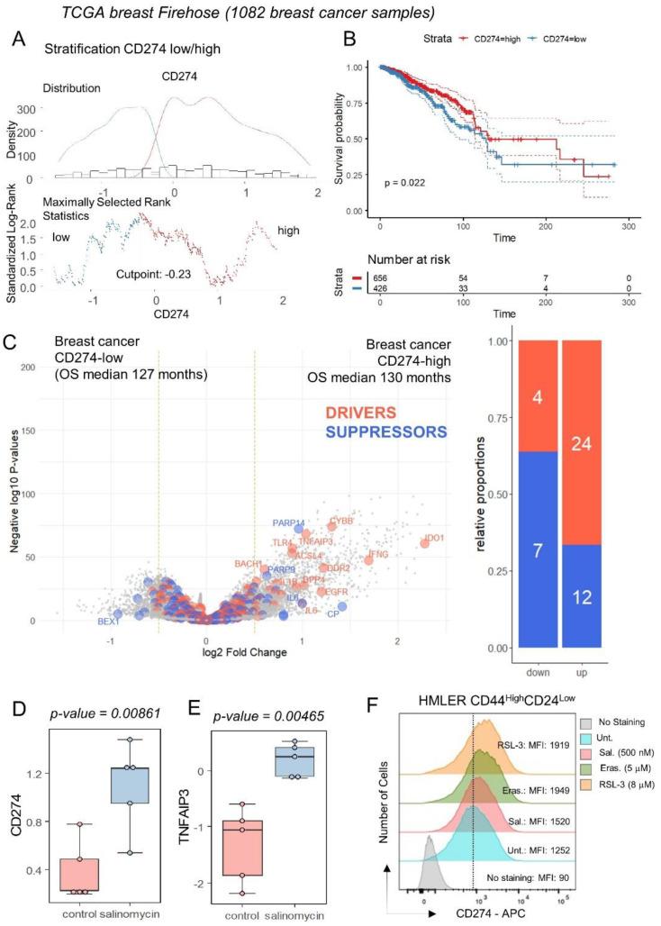 https://cdn.ncbi.nlm.nih.gov/pmc/blobs/122c/10778345/e7492d4246c6/cancers-16-00155-g004.jpg