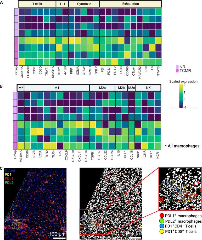 https://cdn.ncbi.nlm.nih.gov/pmc/blobs/122d/11014454/5fb5dc4e9132/sciadv.adm8841-f7.jpg
