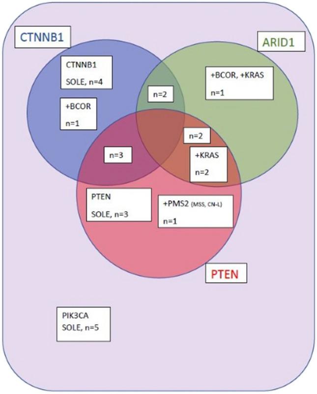 https://cdn.ncbi.nlm.nih.gov/pmc/blobs/122e/12018627/33e6e7b0c232/428_2024_3905_Fig1_HTML.jpg
