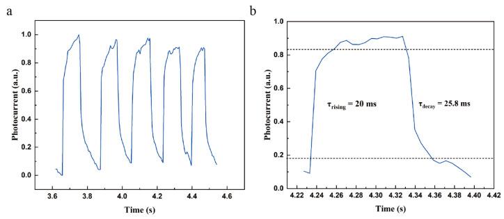 https://cdn.ncbi.nlm.nih.gov/pmc/blobs/1230/11173480/851b2814040a/molecules-29-02553-g005.jpg