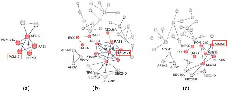 https://cdn.ncbi.nlm.nih.gov/pmc/blobs/1230/11436200/9d8b5fb608e5/viruses-16-01440-g007.jpg