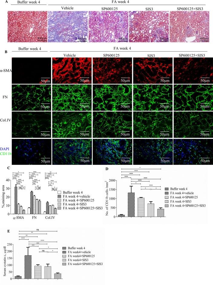 https://cdn.ncbi.nlm.nih.gov/pmc/blobs/1230/6695473/b4458cf1c27c/fphar-10-00880-g005.jpg
