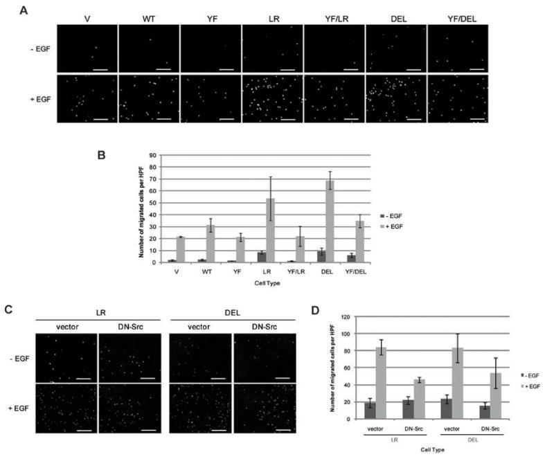 https://cdn.ncbi.nlm.nih.gov/pmc/blobs/1231/2752420/4edd783493a0/nihms95798f6.jpg