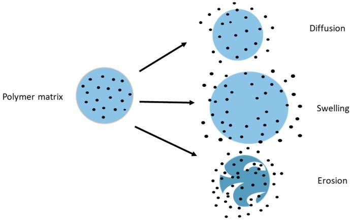 https://cdn.ncbi.nlm.nih.gov/pmc/blobs/1231/5750659/6b7e720a5013/pharmaceutics-09-00053-g003.jpg