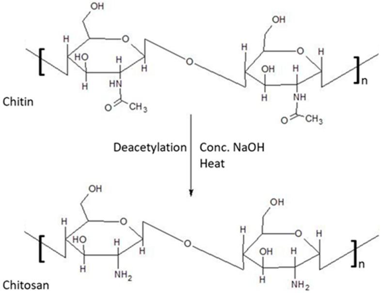 https://cdn.ncbi.nlm.nih.gov/pmc/blobs/1231/5750659/a8f416ac3736/pharmaceutics-09-00053-g001.jpg
