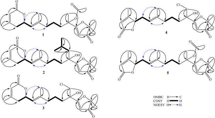 https://cdn.ncbi.nlm.nih.gov/pmc/blobs/1232/11215401/3c321ed7c49e/d4ra02968b-f2.jpg