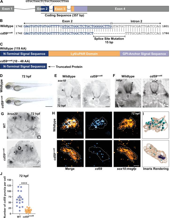https://cdn.ncbi.nlm.nih.gov/pmc/blobs/1232/9232220/d0907ffba4c9/elife-76640-fig3.jpg
