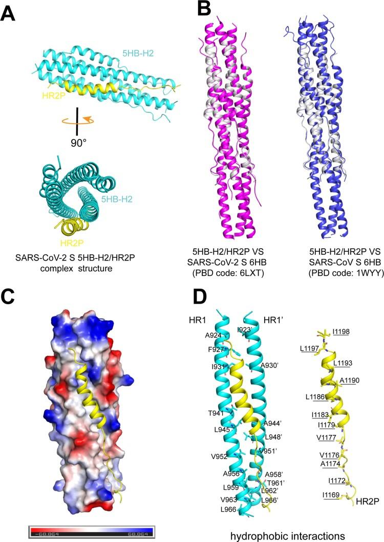 https://cdn.ncbi.nlm.nih.gov/pmc/blobs/1236/9359175/40be7a4fa94b/TEMI_A_2095308_F0005_OC.jpg