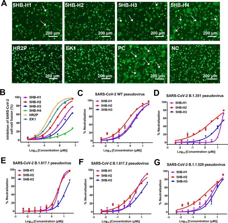 https://cdn.ncbi.nlm.nih.gov/pmc/blobs/1236/9359175/8b4ffca130b7/TEMI_A_2095308_F0002_OC.jpg