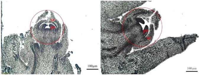 https://cdn.ncbi.nlm.nih.gov/pmc/blobs/1238/8245580/32beb7fde220/41438_2021_581_Fig1_HTML.jpg