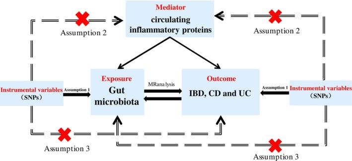 https://cdn.ncbi.nlm.nih.gov/pmc/blobs/1239/12246389/119adde841ea/FBA2-7-e70039-g002.jpg