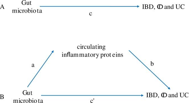 https://cdn.ncbi.nlm.nih.gov/pmc/blobs/1239/12246389/39d1cf849872/FBA2-7-e70039-g004.jpg