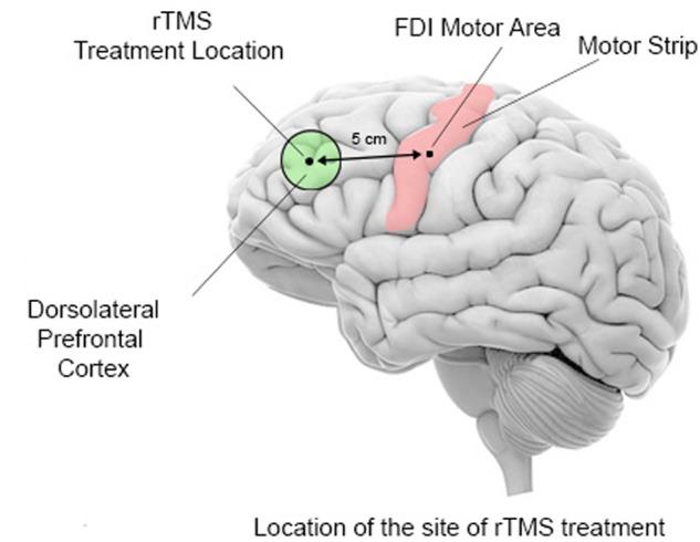 https://cdn.ncbi.nlm.nih.gov/pmc/blobs/1239/5985329/1cc59190d3b4/fnsys-12-00020-g002.jpg
