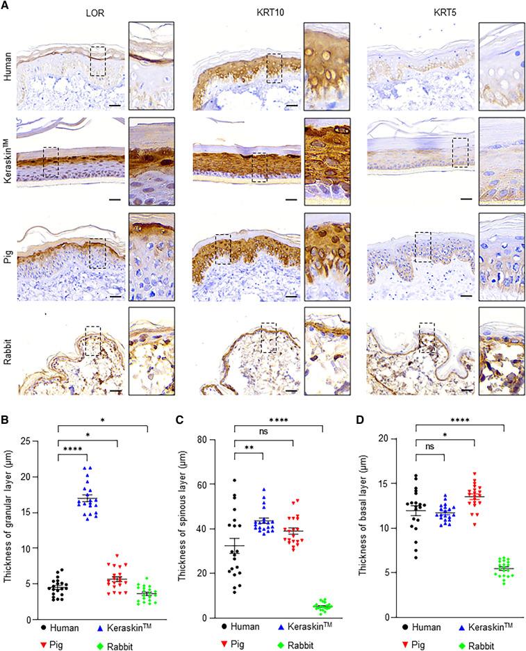 https://cdn.ncbi.nlm.nih.gov/pmc/blobs/123a/10313609/3f2d3d6577b6/43188_2023_185_Fig2_HTML.jpg