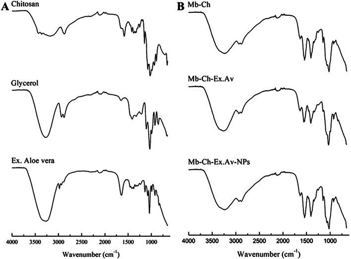 https://cdn.ncbi.nlm.nih.gov/pmc/blobs/123e/11870935/215ba20d482e/13346_2024_1683_Fig2_HTML.jpg