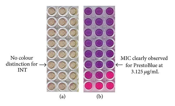 https://cdn.ncbi.nlm.nih.gov/pmc/blobs/123e/3638707/eb18afb2e642/IJMB2013-420601.002.jpg