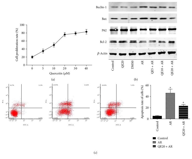 https://cdn.ncbi.nlm.nih.gov/pmc/blobs/123f/5662816/8b7b0250806e/GRP2017-9724217.005.jpg