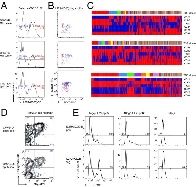 https://cdn.ncbi.nlm.nih.gov/pmc/blobs/1242/6500157/447a5ac23364/pnas.1902649116fig04.jpg