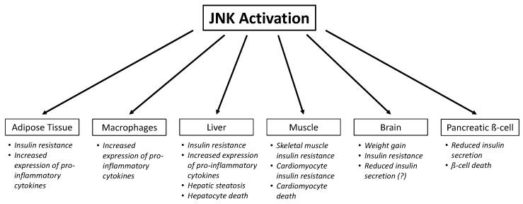https://cdn.ncbi.nlm.nih.gov/pmc/blobs/1243/7140703/1ea7b70566c1/cells-09-00706-g002.jpg