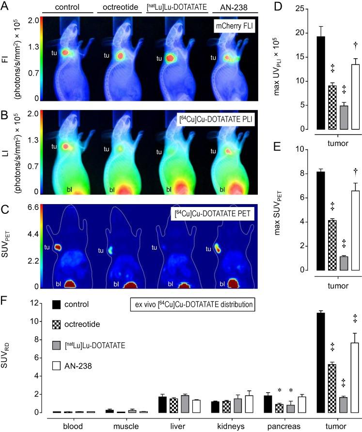 https://cdn.ncbi.nlm.nih.gov/pmc/blobs/1244/4805660/00dd1b3ecc28/thnov06p0650g003.jpg