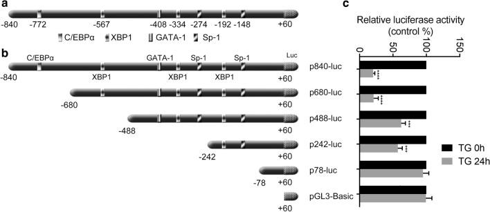 https://cdn.ncbi.nlm.nih.gov/pmc/blobs/1246/7507253/af1492b3b193/12935_2020_1553_Fig3_HTML.jpg