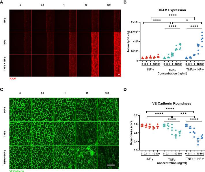 https://cdn.ncbi.nlm.nih.gov/pmc/blobs/1248/9903066/685d1b3f26f5/fimmu-14-1118624-g004.jpg