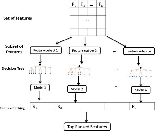 https://cdn.ncbi.nlm.nih.gov/pmc/blobs/1249/11531531/015612a230b3/41598_2024_75830_Fig1_HTML.jpg