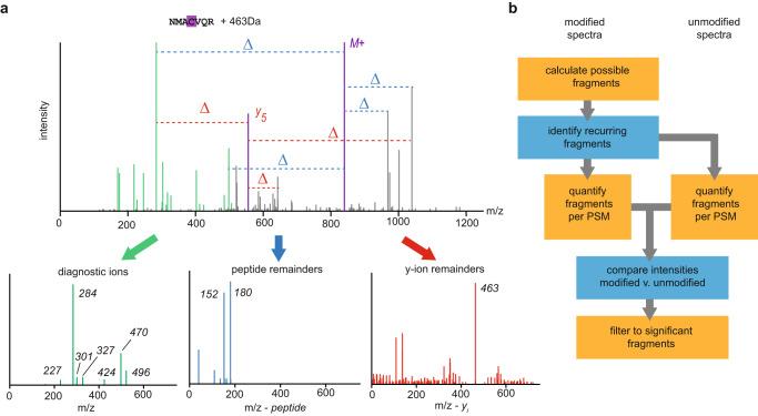 https://cdn.ncbi.nlm.nih.gov/pmc/blobs/124a/10338467/c204d0ea8936/41467_2023_39828_Fig1_HTML.jpg