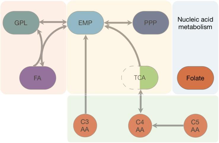 https://cdn.ncbi.nlm.nih.gov/pmc/blobs/124a/6803457/61914bd979ec/fmicb-10-02350-g002.jpg