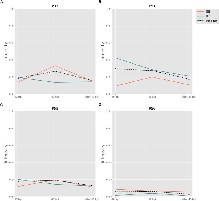 https://cdn.ncbi.nlm.nih.gov/pmc/blobs/124a/6803457/cc07d3bbb30e/fmicb-10-02350-g004.jpg