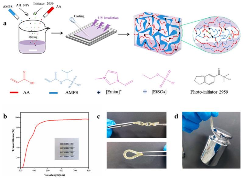 https://cdn.ncbi.nlm.nih.gov/pmc/blobs/124c/12026471/f6e16c7b7714/gels-11-00219-g003.jpg