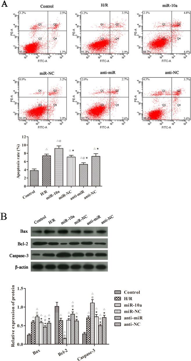 https://cdn.ncbi.nlm.nih.gov/pmc/blobs/124d/7329557/c1fbe7db1593/12882_2020_1898_Fig5_HTML.jpg