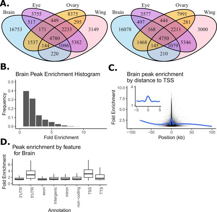 https://cdn.ncbi.nlm.nih.gov/pmc/blobs/124f/10191298/db4a13070195/pgen.1010439.g001.jpg