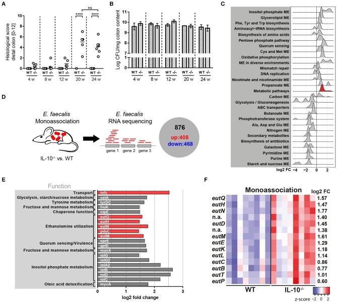 https://cdn.ncbi.nlm.nih.gov/pmc/blobs/1252/6596359/1603a5aca2f1/fimmu-10-01420-g0001.jpg