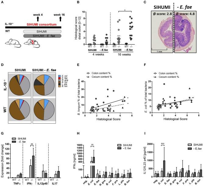 https://cdn.ncbi.nlm.nih.gov/pmc/blobs/1252/6596359/5c2cdfd00f52/fimmu-10-01420-g0004.jpg