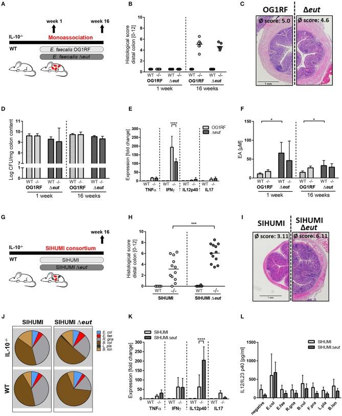 https://cdn.ncbi.nlm.nih.gov/pmc/blobs/1252/6596359/75f1b7d4ebc4/fimmu-10-01420-g0002.jpg