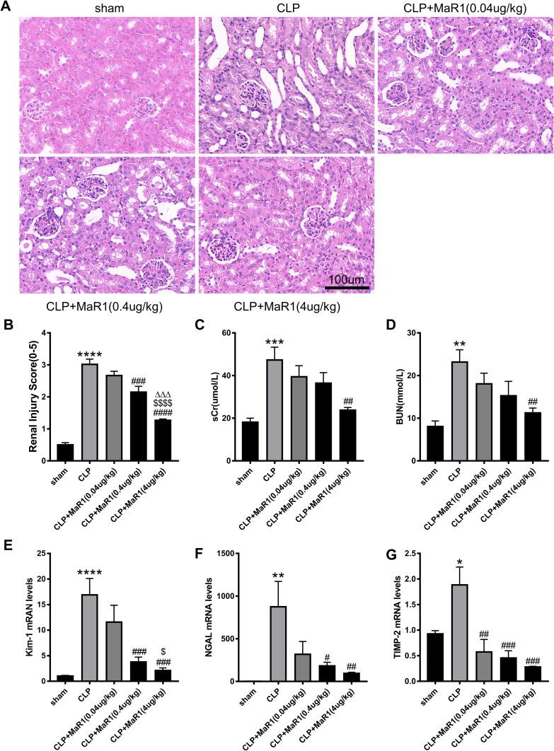https://cdn.ncbi.nlm.nih.gov/pmc/blobs/1253/10908291/ef368e0cce77/JIR-17-1349-g0001.jpg