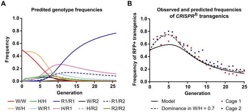 https://cdn.ncbi.nlm.nih.gov/pmc/blobs/1253/5648257/511c05ee61ca/pgen.1007039.g004.jpg