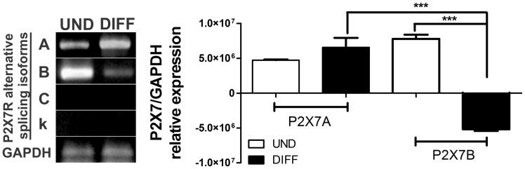 https://cdn.ncbi.nlm.nih.gov/pmc/blobs/1256/4010452/95b7fbab8d76/pone.0096281.g002.jpg