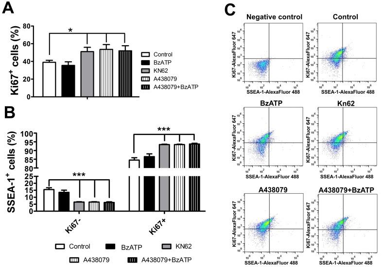 https://cdn.ncbi.nlm.nih.gov/pmc/blobs/1256/4010452/9cc352ced519/pone.0096281.g009.jpg