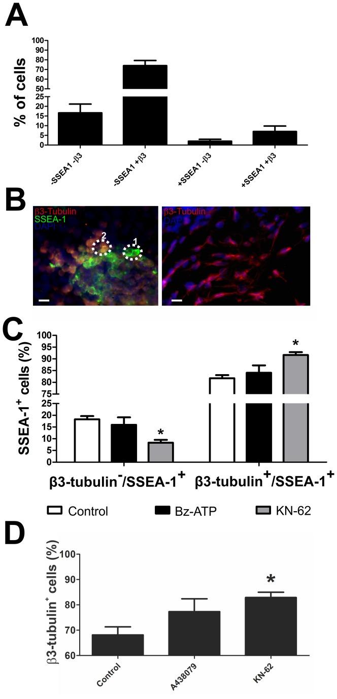 https://cdn.ncbi.nlm.nih.gov/pmc/blobs/1256/4010452/fe9d5c7520d2/pone.0096281.g008.jpg